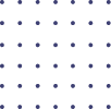PSEPL